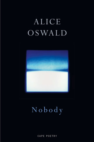 Cover image for 9781787331969 - Nobody