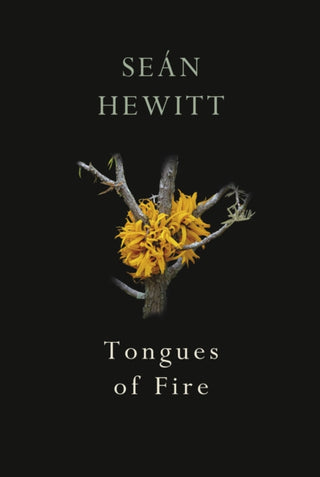 Cover image for 9781787332263 - Tongues of Fire