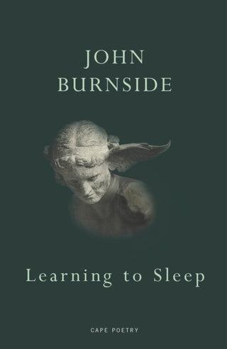 Cover image for 9781787332348 - Learning to Sleep
