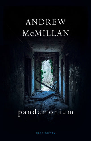 Cover image for 9781787333192 - pandemonium