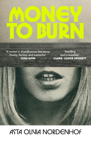 Supplemental image for 9781787335165 - Money to Burn