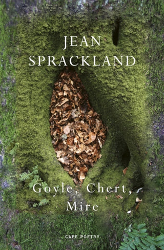 Cover image for 9781787335912 - Goyle, Chert, Mire