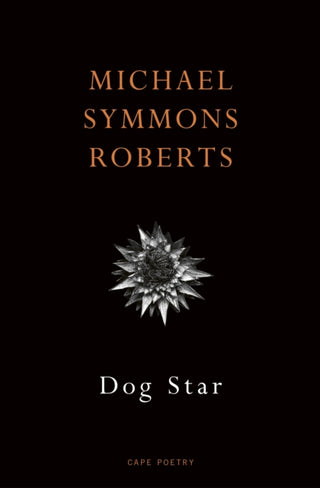 Cover image for 9781787336032 - Dog Star