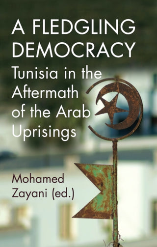 Cover image for 9781787387140 - A Fledgling Democracy