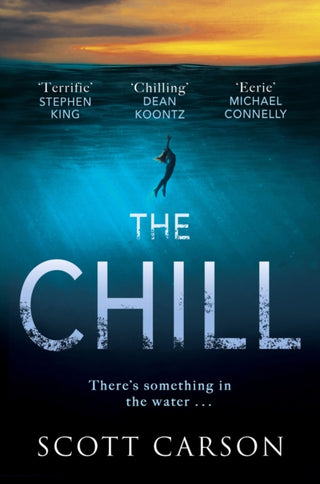 Cover image for 9781787395138 - The Chill