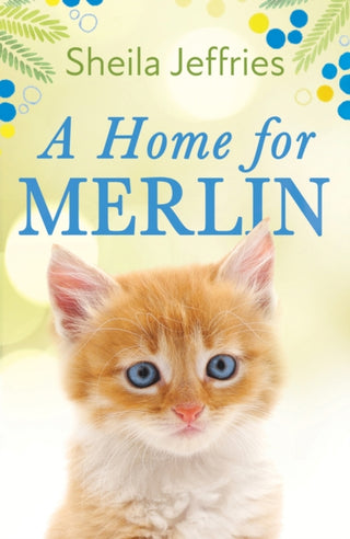 Cover image for 9781787395756 - A Home for Merlin