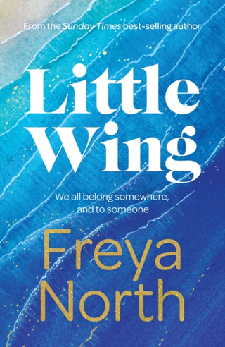 Cover image for 9781787397606 - Little Wing