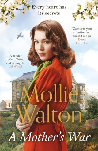 Cover image for 9781787399419 - A Mother's War