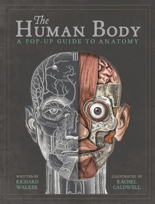 Cover image for 9781787410589 - The Human Body
