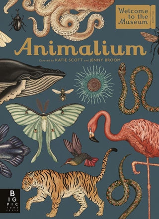 Cover image for 9781787411647 - Animalium