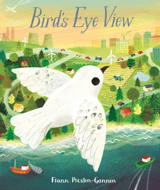 Cover image for 9781787416840 - Bird's Eye View