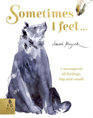 Cover image for 9781787417267 - Sometimes I Feel...
