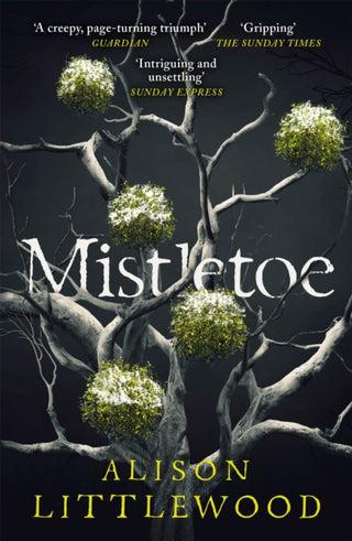 Cover image for 9781787475892 - Mistletoe