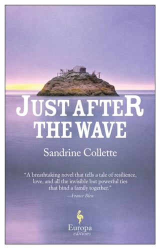 Cover image for 9781787702127 - Just After the Wave