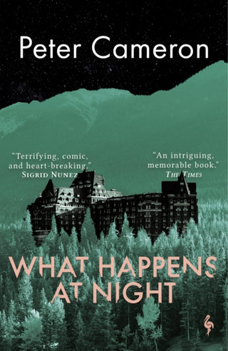 Cover image for 9781787704244 - What Happens at Night