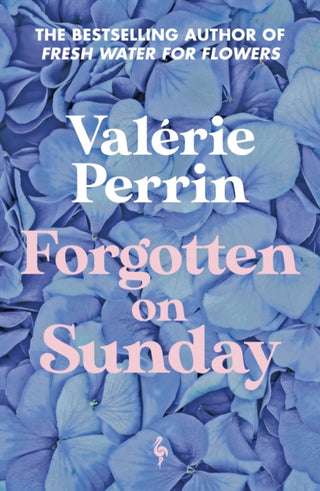 Cover image for 9781787705272 - Forgotten on Sunday