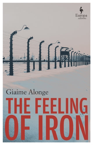 Cover image for 9781787705838 - The Feeling of Iron