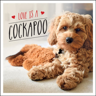 Cover image for 9781787839922 - Love is a Cockapoo