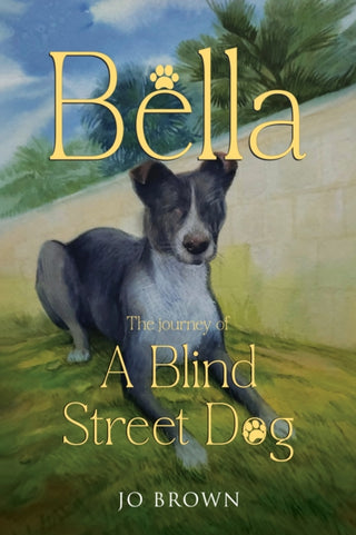 Cover image for 9781787882577 - Bella, the journey of A Blind Street Dog