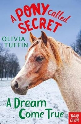 Cover image for 9781788000536 - A Pony Called Secret: A Dream Come True