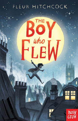 Cover image for 9781788004381 - The Boy Who Flew
