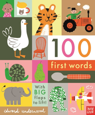 Cover image for 9781788004893 - 100 First Words