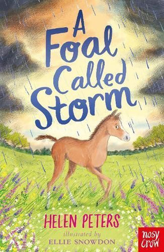 Cover image for 9781788009515 - A Foal Called Storm