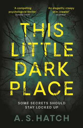 Cover image for 9781788162043 - This Little Dark Place