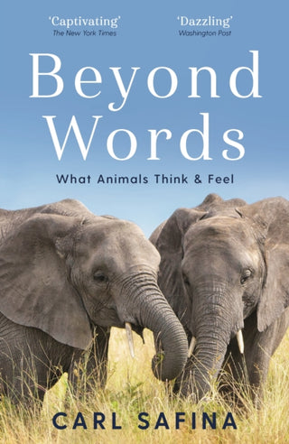 Cover image for 9781788164238 - Beyond Words