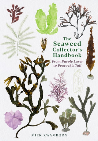 Cover image for 9781788165471 - The Seaweed Collector's Handbook