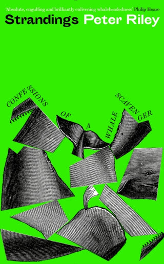 Cover image for 9781788166072 - Strandings