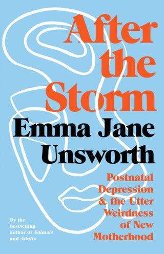 Cover image for 9781788166546 - After the Storm