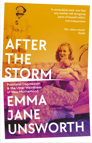 Cover image for 9781788166553 - After the Storm