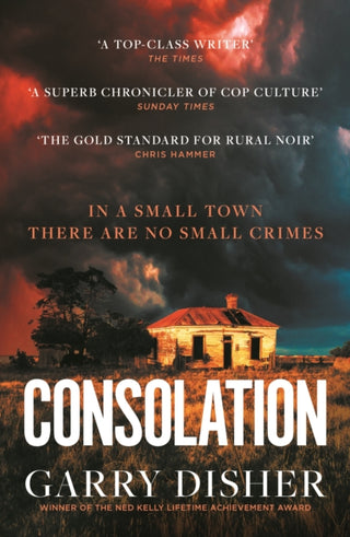 Supplemental image for 9781788168175 - Consolation
