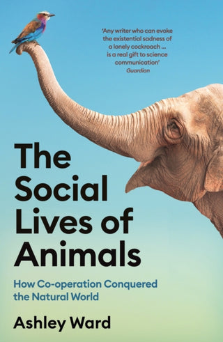 Cover image for 9781788168854 - The Social Lives of Animals