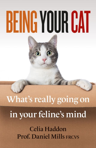 Cover image for 9781788404051 - Being Your Cat