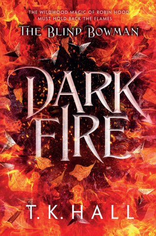 Supplemental image for 9781788453295 - The Blind Bowman: Dark Fire