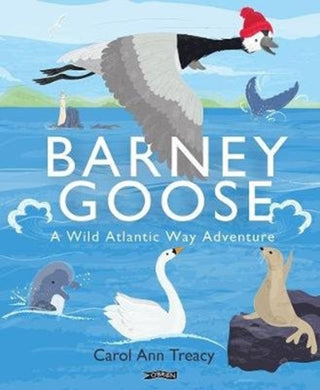 Cover image for 9781788491426 - Barney Goose
