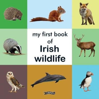 Cover image for 9781788491655 - My First Book of Irish Wildlife