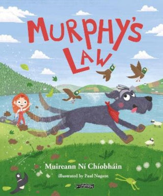 Cover image for 9781788492928 - Murphy's Law