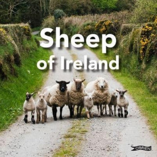 Cover image for 9781788494182 - Sheep of Ireland