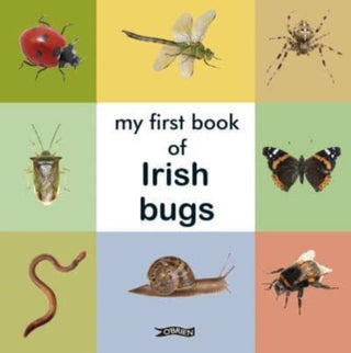 Cover image for 9781788494359 - My First Book of Irish Bugs