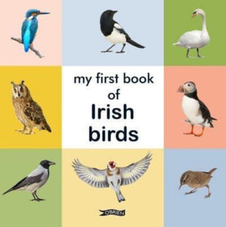Cover image for 9781788494816 - My First Book of Irish Birds