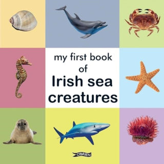 Cover image for 9781788495349 - My First Book of Irish Sea Creatures
