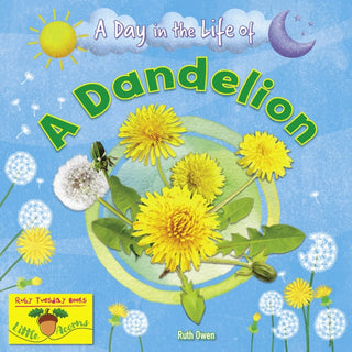 Cover image for 9781788564366 - A Dandelion