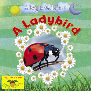 Cover image for 9781788564397 - A Ladybird