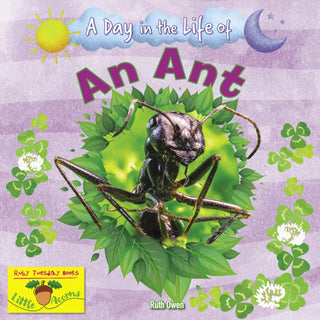 Cover image for 9781788564403 - An Ant