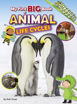 Cover image for 9781788565820 - My First BIG Book of ANIMAL Life Cycles