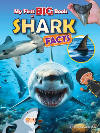 Cover image for 9781788565837 - My First BIG book of SHARK Facts