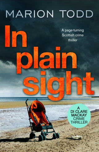 Cover image for 9781788638197 - In Plain Sight